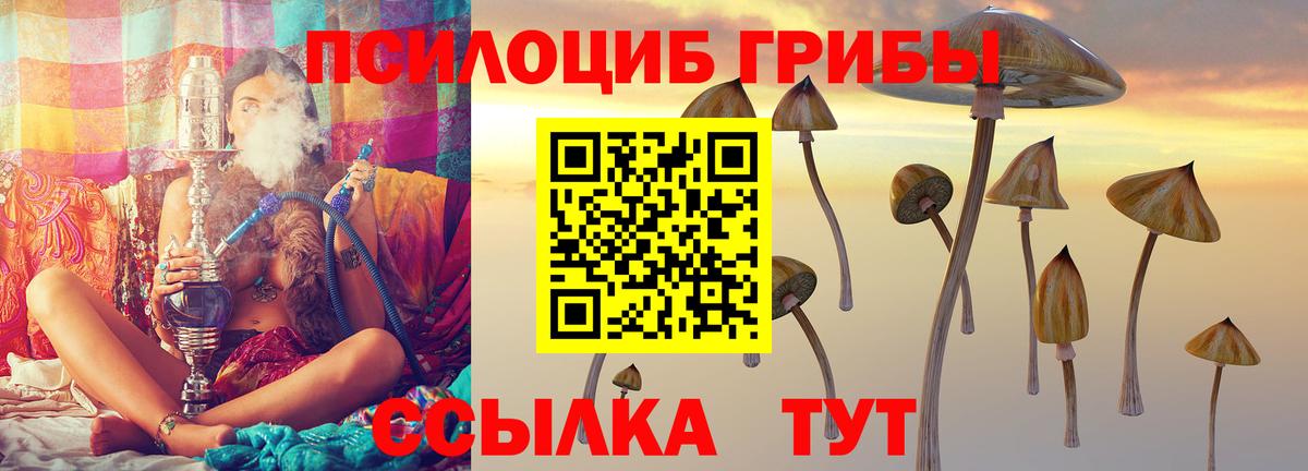 Галлюциногенные грибы GOLDEN TEACHER  Галлюциногенные грибы Psilocybine cubensis  Кудрово 