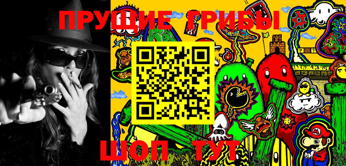 Кудрово  Псилоцибиновые грибы мухоморы  Галлюциногенные грибы Psilocybe  Вход с VPN 
