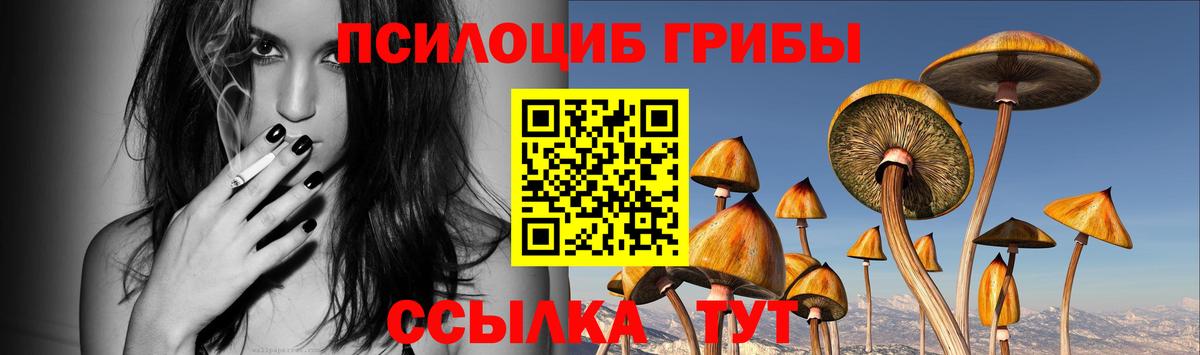 Псилоцибиновые грибы MAGIC MUSHROOMS Кудрово